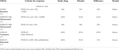 Severe lupus nephritis in the present days